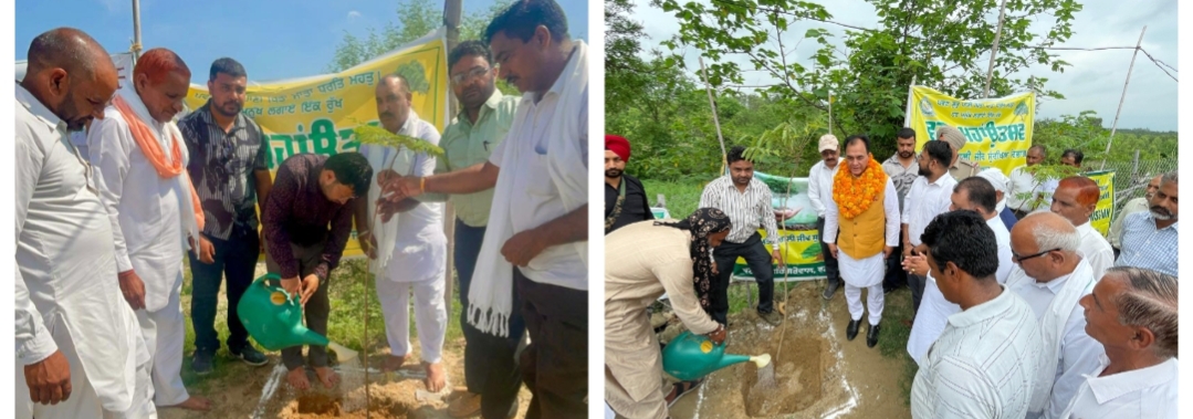 MP and Cabinet Minister inaugurated the campaign by planting saplings under Van Maha Utsav.
